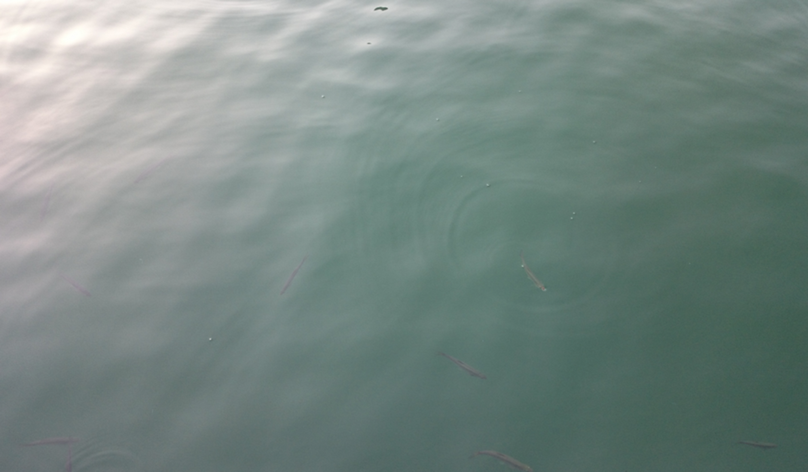 选区_660.png 选区_660.png