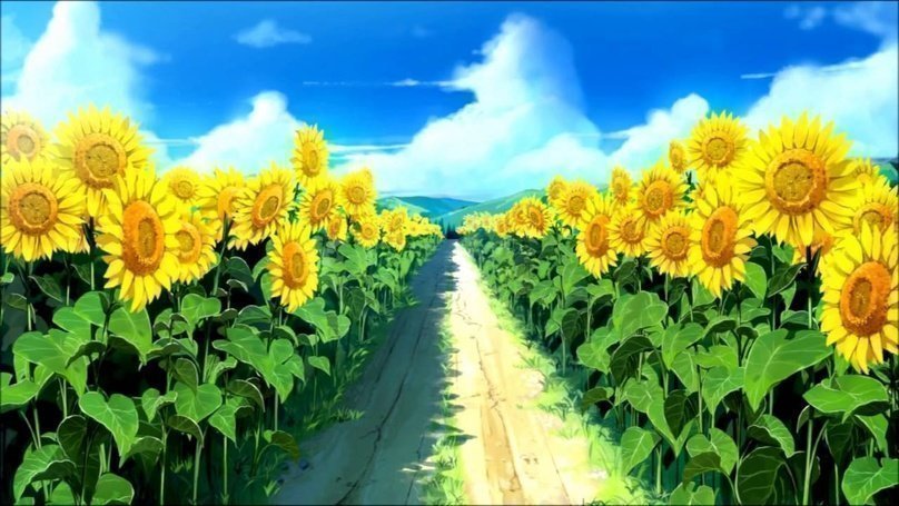 maxresdefault.jpg maxresdefault.jpg