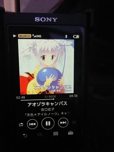 DSC_0617.JPG DSC_0617.JPG