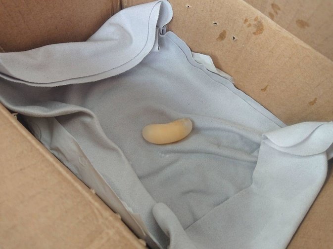 photo_2018-06-30_23-32-34.jpg photo_2018-06-30_23-32-34.jpg