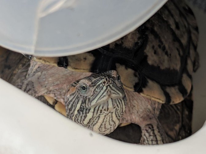 photo_2019-02-04_19-55-54.jpg photo_2019-02-04_19-55-54.jpg