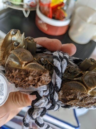 photo_2019-10-16_21-57-01.jpg photo_2019-10-16_21-57-01.jpg