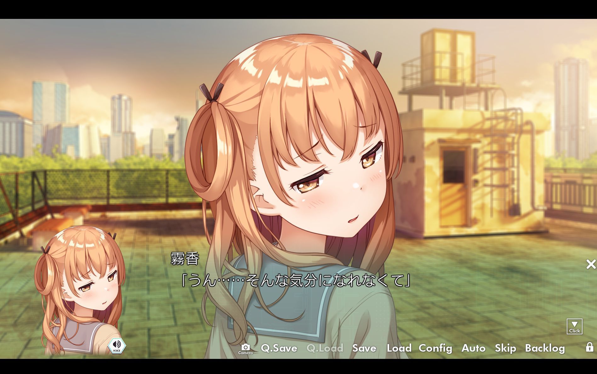 screenshot219.jpg screenshot219.jpg