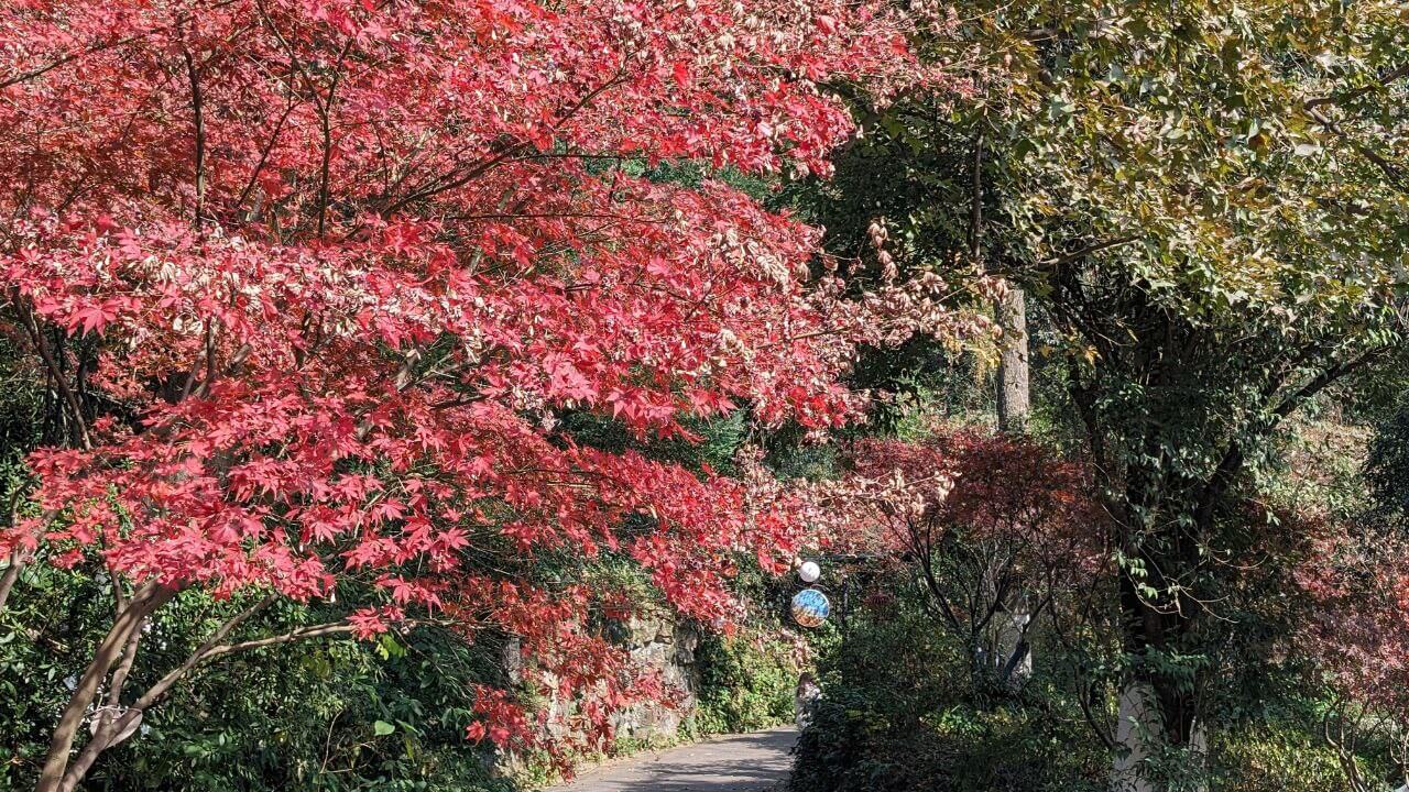 photo_2024-01-09_00-33-01.jpg photo_2024-01-09_00-33-01.jpg